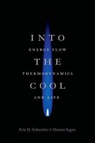Into the Cool: Energy Flow, Thermodynamics, and Life